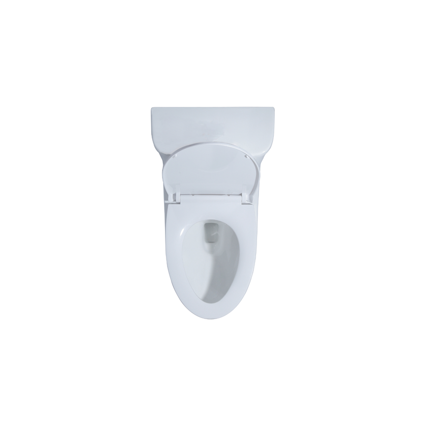 Toilette monobloc allongée