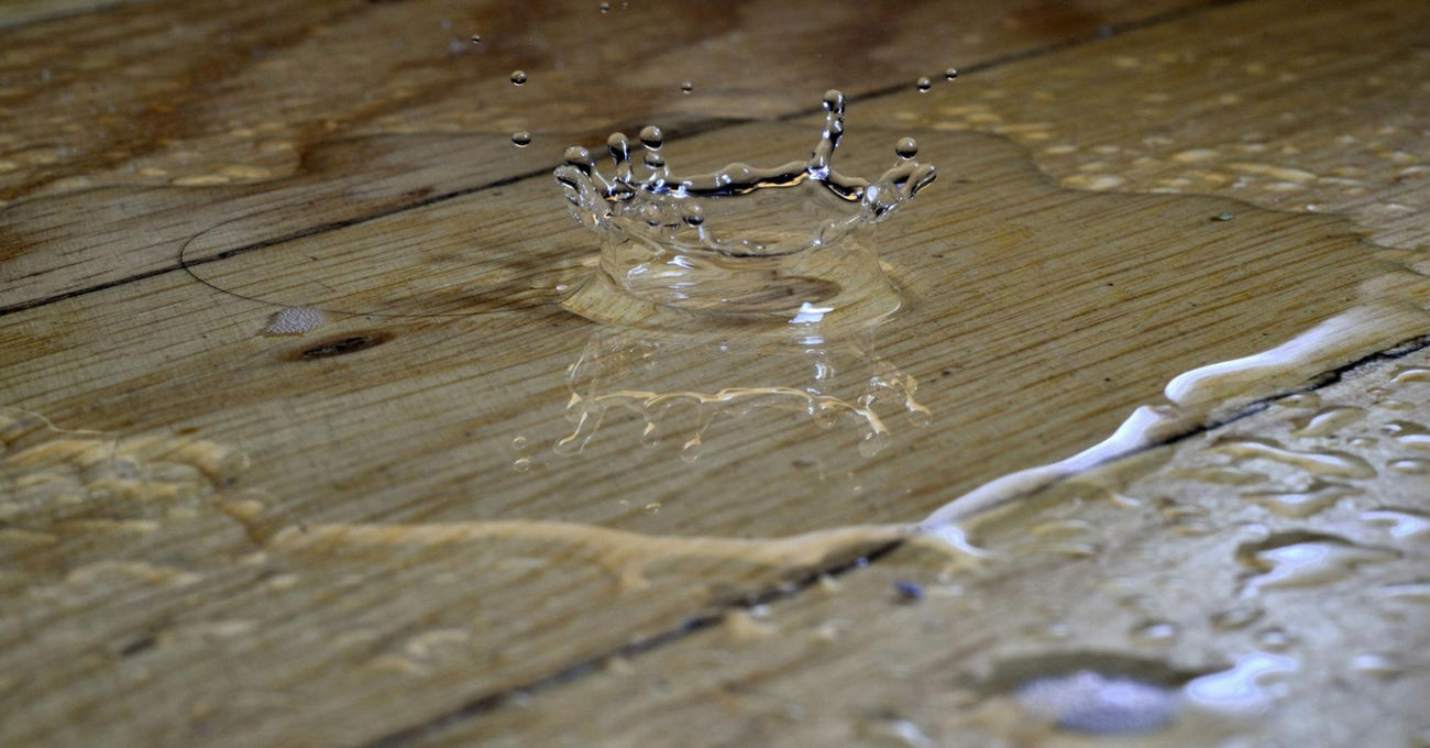 Les dégâts d'eau : causes, manifestations et solutions