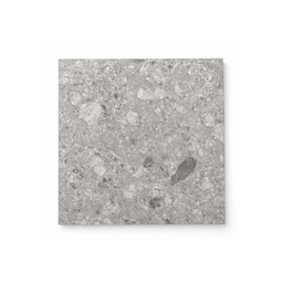 Tuile Extérieure 24x24 Terrazzo Grigio Mat
