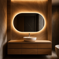Frameless Oval Mirror with LED Lighting 28x60