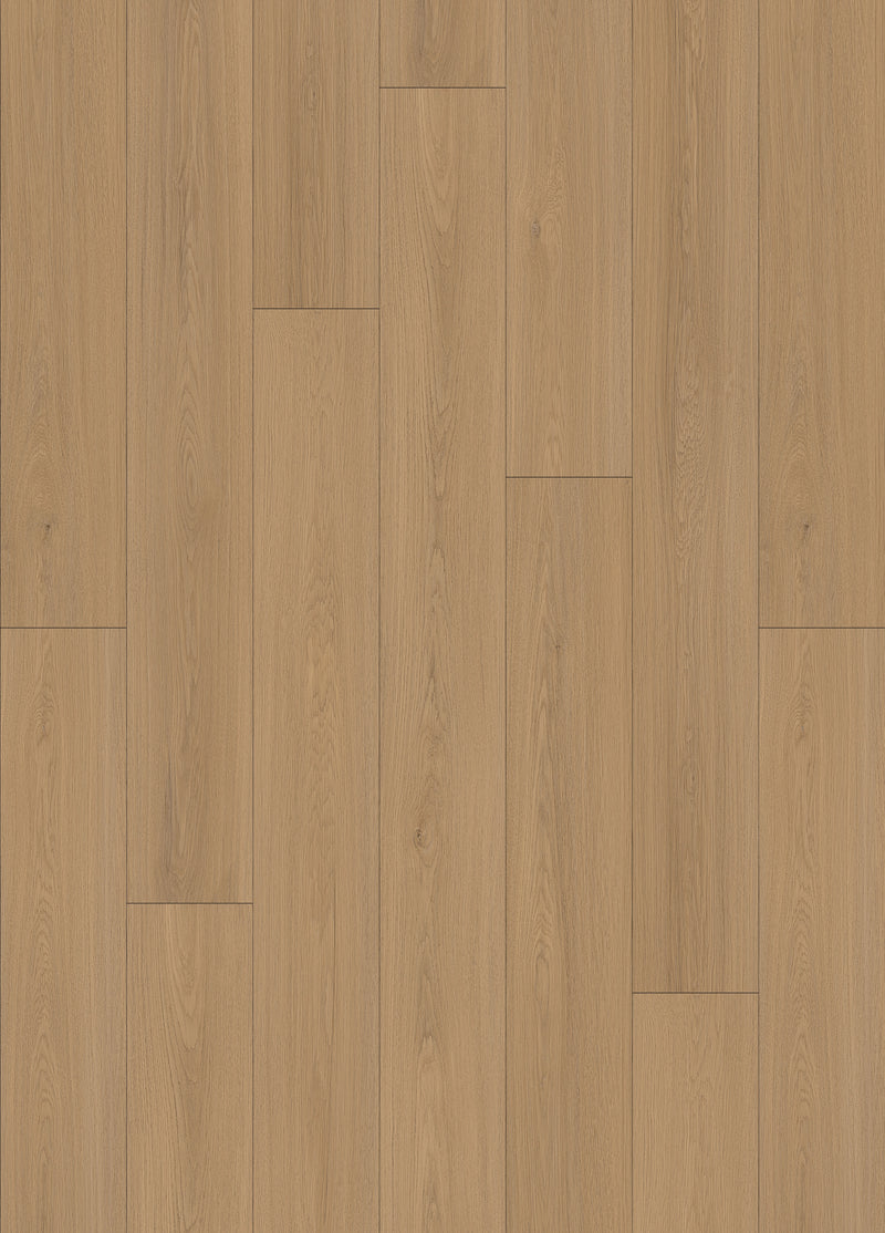 Kit de marche/contremarche en Flottant stratifié Pure Wood Sesame (2 marches incluses)