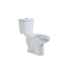 Elongated 2-piece toilet