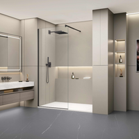 Fixed Shower Glass Panel - Matte black