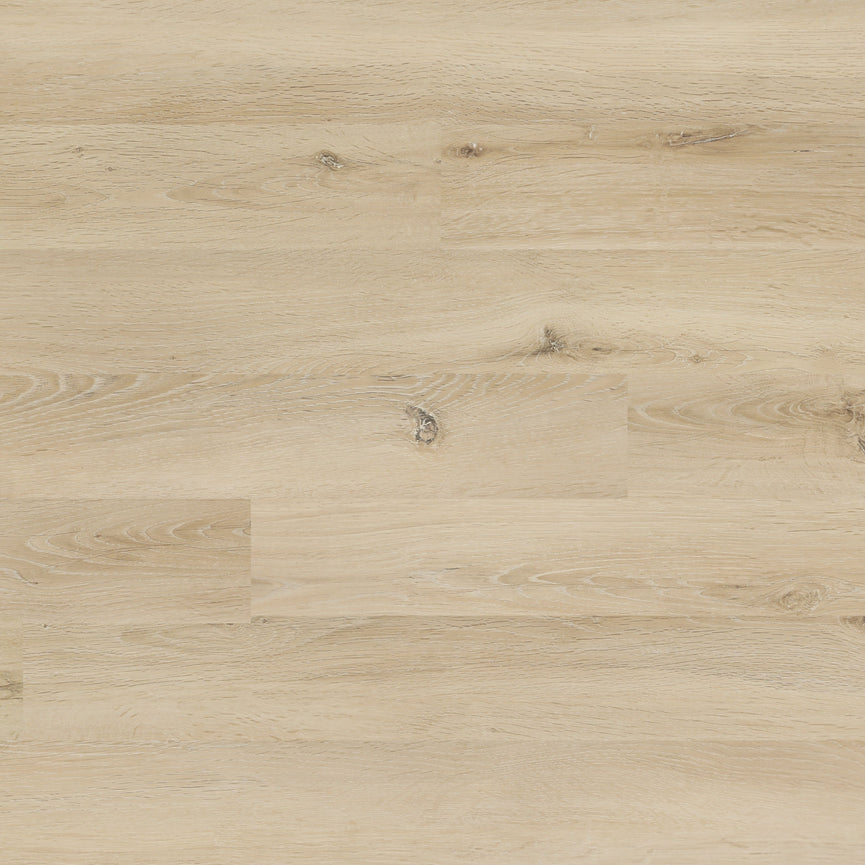 Kit de marche en Flottant stratifié Pure Wood Oak (2 marches incluses)
